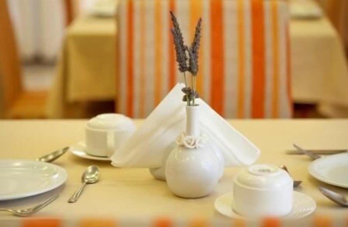 Imagen del bar/restaurante del Hotel Kyniska. Foto 9