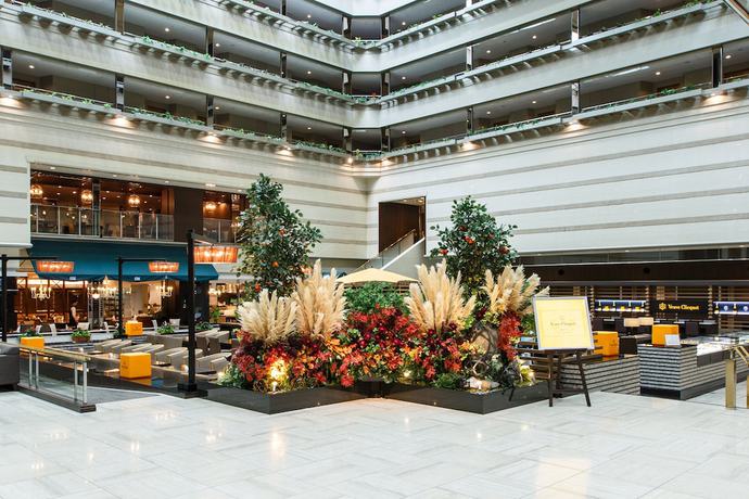 Imagen general del Hotel Kyoto Brighton. Foto 2