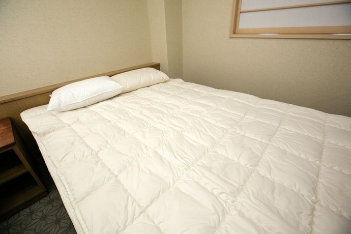 Imagen de la habitación del Hotel Kyoto Kamanza. Foto 6