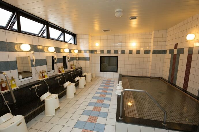 Imagen general del Hotel Kyoto Plaza. Foto 10