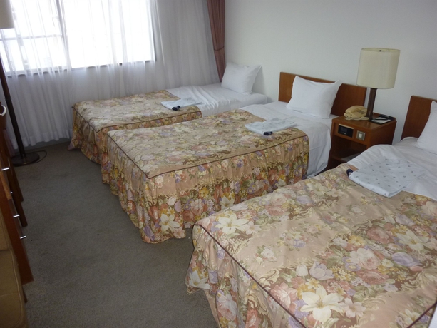 Imagen de la habitación del Hotel Kyoto Rich. Foto 6