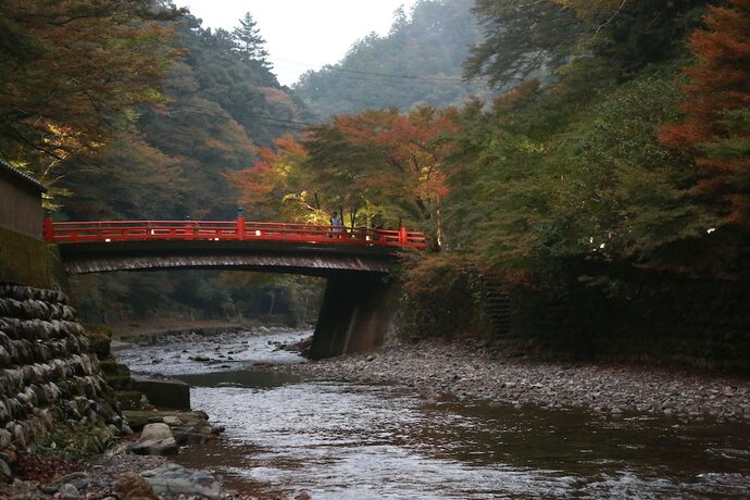 Imagen de los exteriores del Hotel Kyoto Takao Kanko. Foto 28