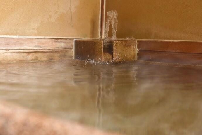 Imagen de la habitación del Hotel Kyoto Uji Hanayashiki Ukifune-en. Foto 14