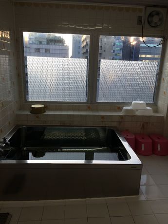 Imagen de la piscina del Hotel Kyoto White. Foto 19