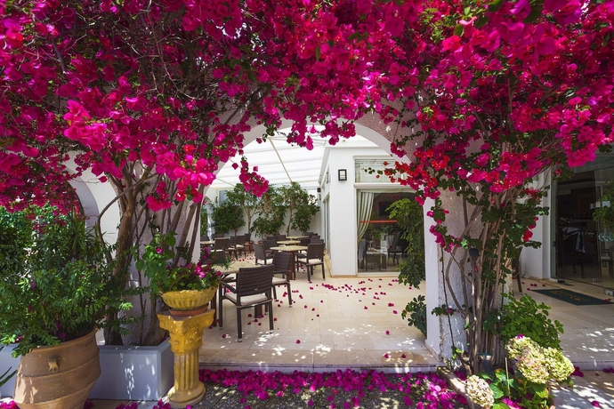 Imagen de los exteriores del Hotel Kyparissia Beach. Foto 7