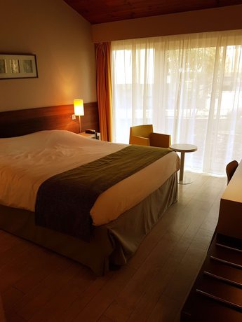 Imagen de la habitación del Hotel Kyriad Angoul&ecirc;me Nord Champniers - and R&eacute;sidence. Foto 10
