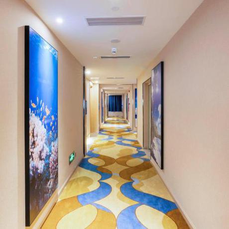 Imagen general del Hotel Kyriad Marvelous Heyuan Wanda Plaza. Foto 7