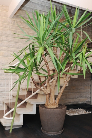 Imagen de los interiores del Hotel Kyriad - Royan Plage. Foto 19