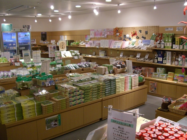 Imagen de los interiores del Hotel Kyukamura Fuji. Foto 14