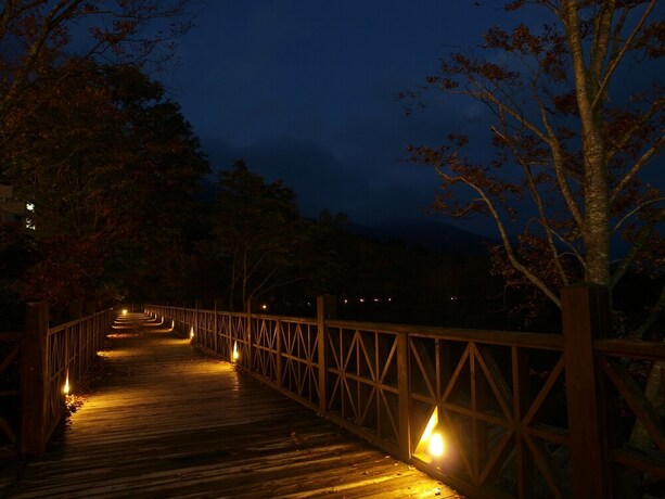 Imagen de la habitación del Hotel Kyukamura Iwate-Amiharionsen. Foto 7