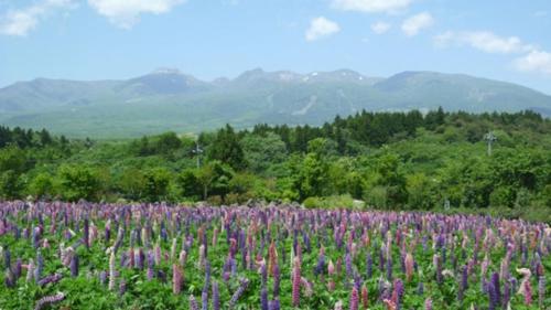 Imagen general del Hotel Kyukamura Nasu, Nasu. Foto 6