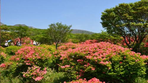 Imagen general del Hotel Kyukamura Nasu, Nasu. Foto 14
