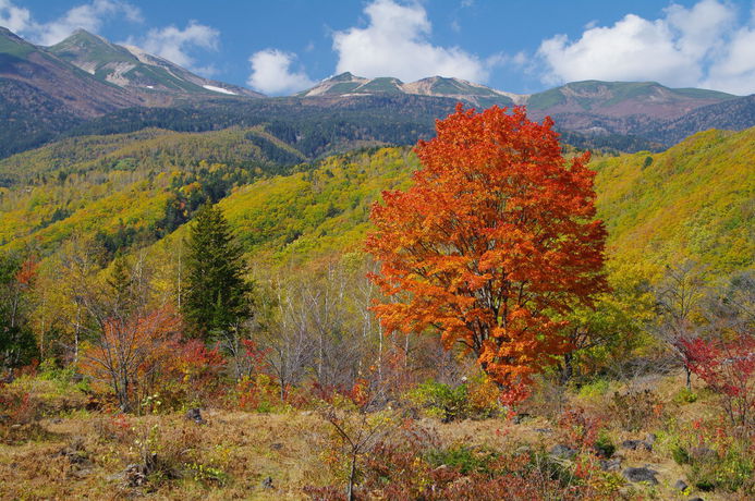 Imagen de los interiores del Hotel Kyukamura Norikura Kogen. Foto 10