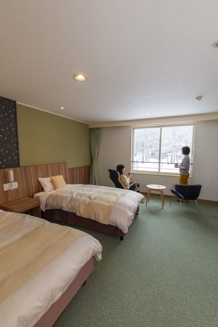 Imagen de la habitación del Hotel Kyukamura Nyuto-Onsenkyo. Foto 15