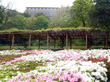 Imagen general del Hotel Kyukamura Setouchi-toyo. Foto 14