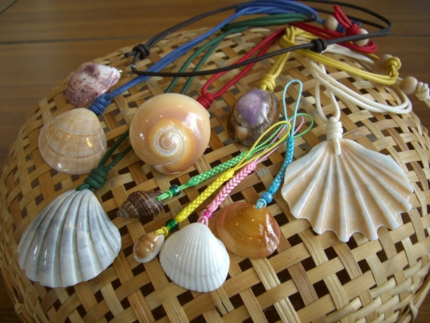 Imagen de los interiores del Hotel Kyukamura Tateyama. Foto 13