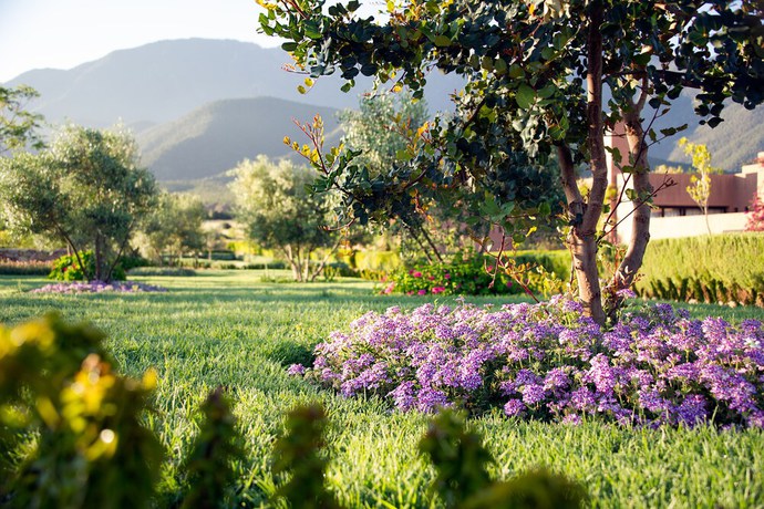 Imagen de la habitación del Hotel L\' Amandier and Villas. Foto 3