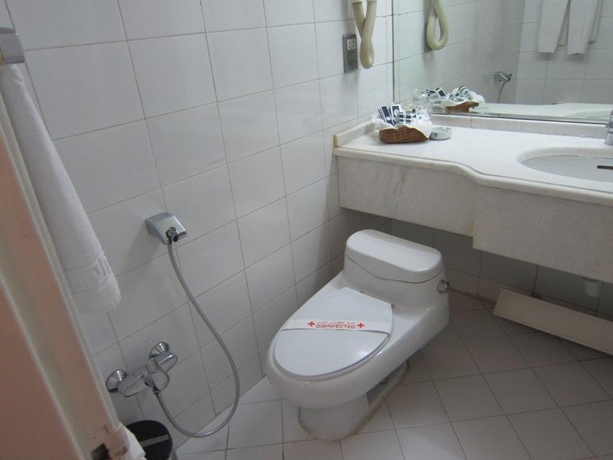 Imagen general del Hotel LALEH. Foto 12