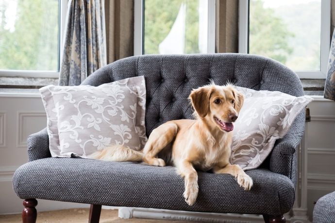 Imagen general del Hotel LANGDALE CHASE. Foto 3