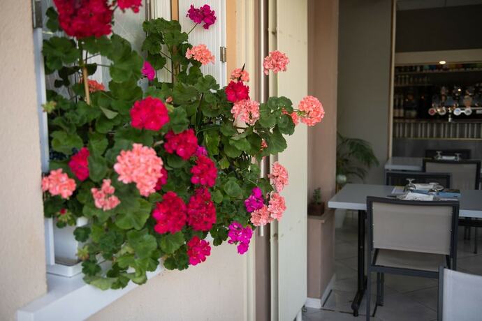 Imagen general del Hotel L\'Escapade. Foto 6