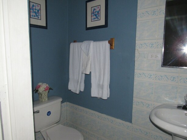 Imagen general del Hotel L\'Eternel est mon secours. Foto 12
