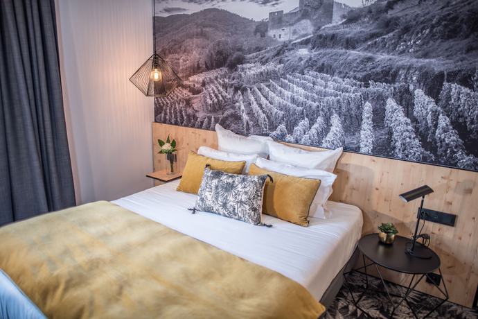 Imagen de la habitación del Hotel L'Hôtel and Spa Ribeauvillé. Foto 4