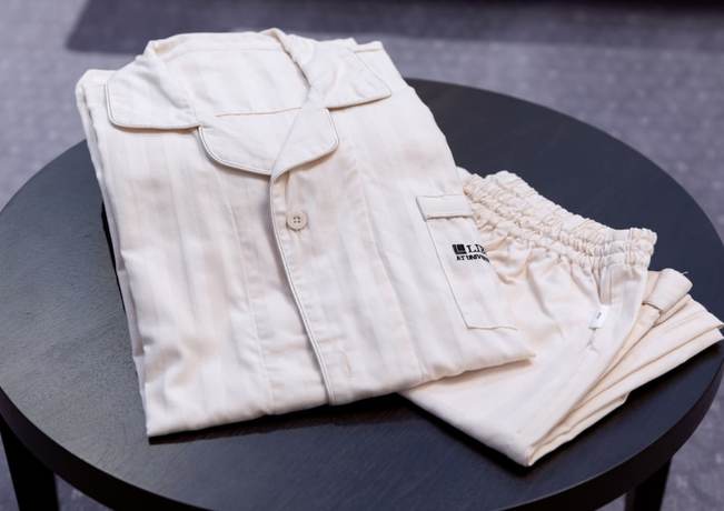 Imagen de la habitación del Hotel LIBER HOTEL Osaka. Foto 14