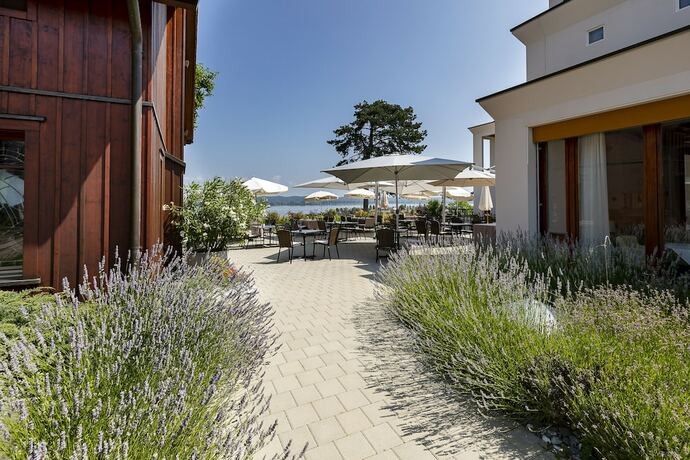 Imagen general del Hotel LILIENBERG. Foto 3