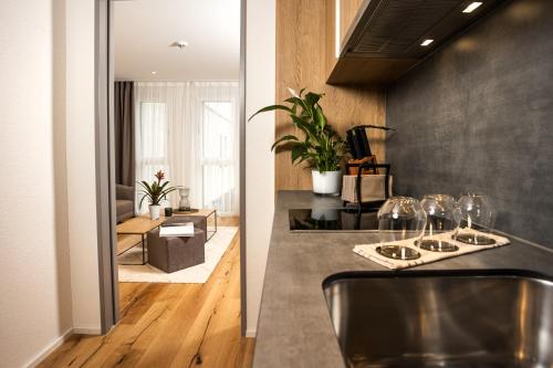 Imagen general del Hotel LMS - La Maison Suisse - D&ouml;ttingen. Foto 3