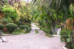 Imagen general del Hotel LONGARONE. Foto 5