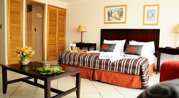 Imagen de la habitación del Hotel LOS NOGALES, Providencia. Foto 3