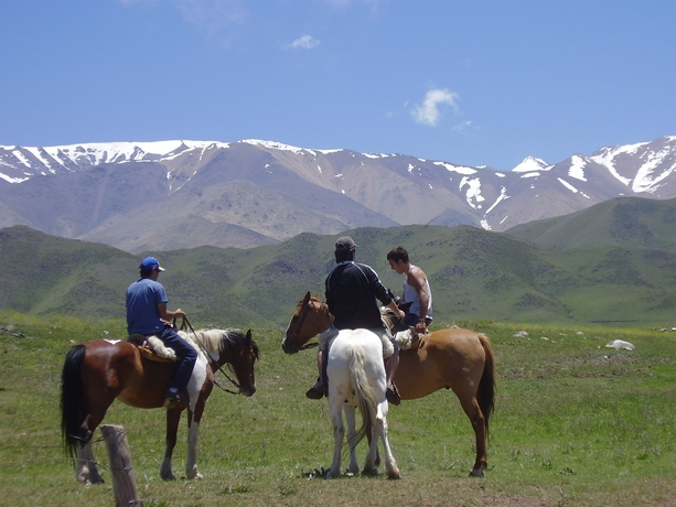 Imagen de los exteriores del Hotel La Alejandra. Foto 13