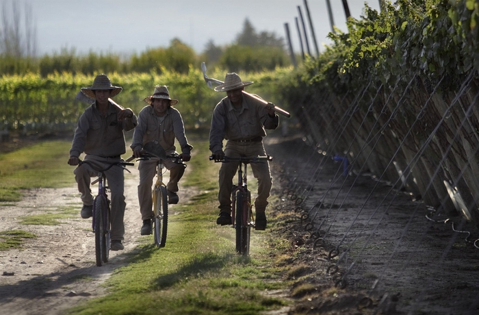 Imagen general del Hotel La Alejandra. Foto 4