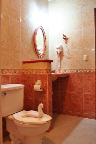 Imagen de la habitación del Hotel La Aurora Colonial. Foto 16