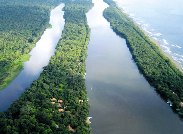 Imagen de los exteriores del Hotel La Baula Lodge. Foto 7