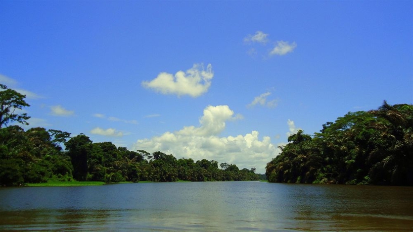 Imagen de los exteriores del Hotel La Baula Lodge. Foto 9