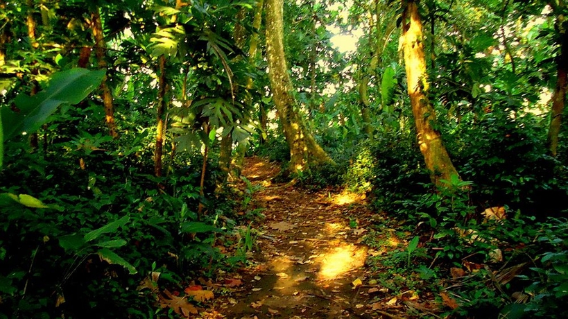 Imagen de los exteriores del Hotel La Baula Lodge. Foto 10