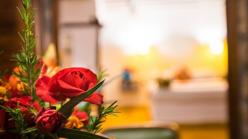 Imagen general del Hotel La Bergerie. Foto 8