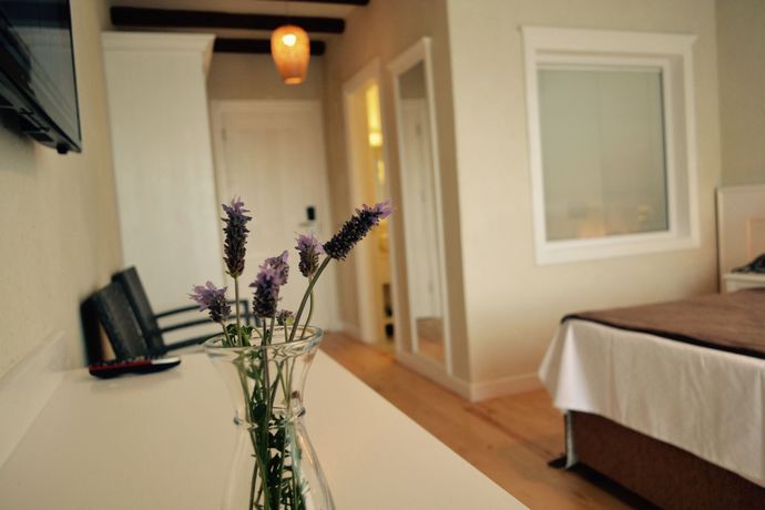 Imagen de los exteriores del Hotel La Boutique Maya. Foto 10