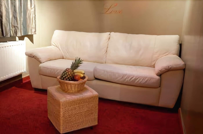 Imagen de los interiores del Hotel La Calèche. Foto 13