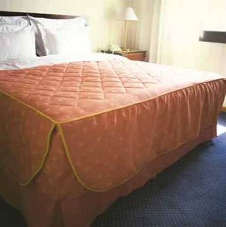 Imagen de la habitación del Hotel La Casa De Alba. Foto 14