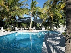 Imagen de la piscina del Hotel La Casa Jalisco. Foto 5