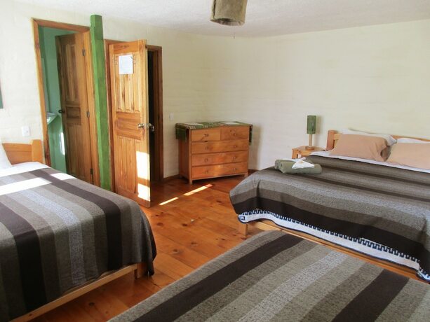 Imagen general del Hotel La Casa Verde, Ba&ntilde;os de Agua Santa. Foto 10