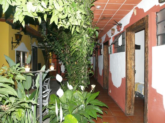 Imagen general del Hotel La Casa de Don Ismael. Foto 1