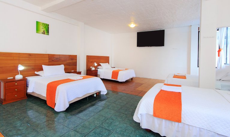 Imagen de la habitación del Hotel La Casa de Judy. Foto 19