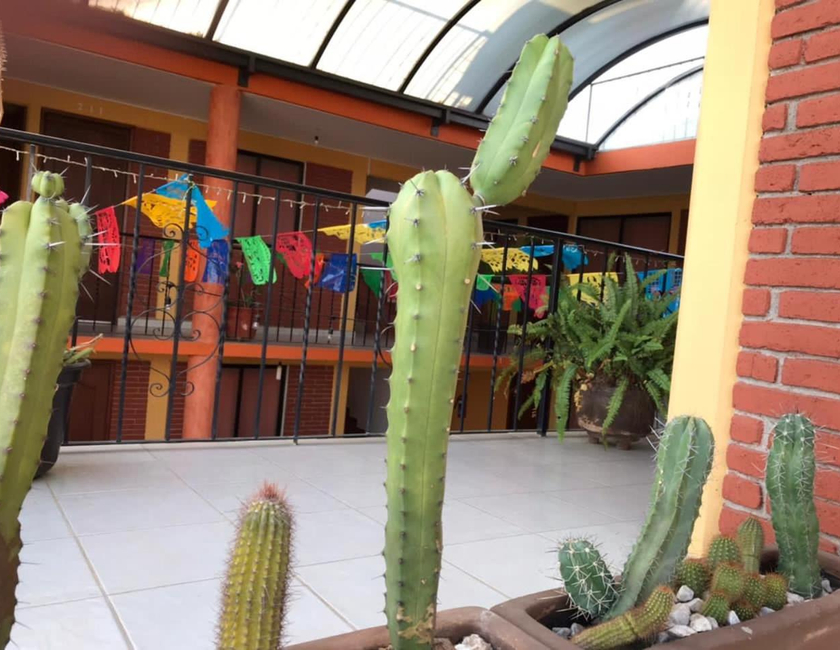 Imagen general del Hotel La Cascada, Oaxaca de Ju&aacute;rez. Foto 4