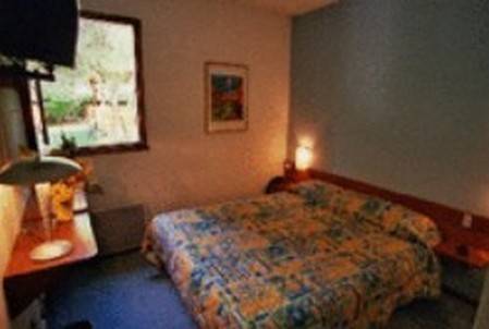 Imagen de la habitación del Hotel La Cascade, Craponne. Foto 4