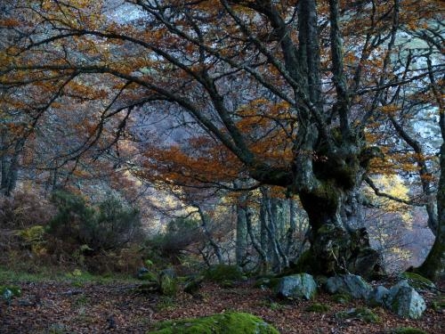 Imagen general del Hotel La Casona De Con. Foto 2