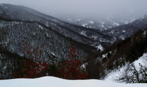 Imagen general del Hotel La Casona De Con. Foto 4