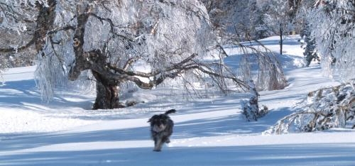 Imagen de los exteriores del Hotel La Casona De Con. Foto 18